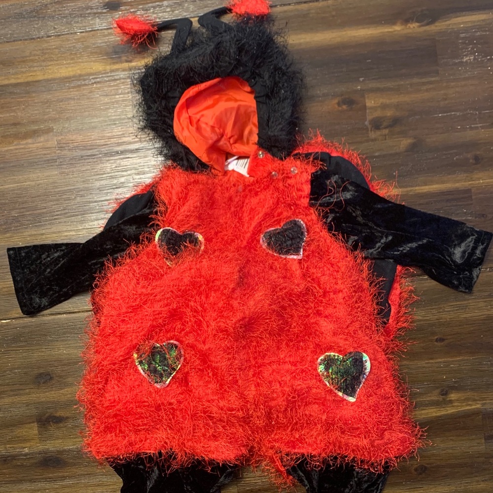 Ladybug costume